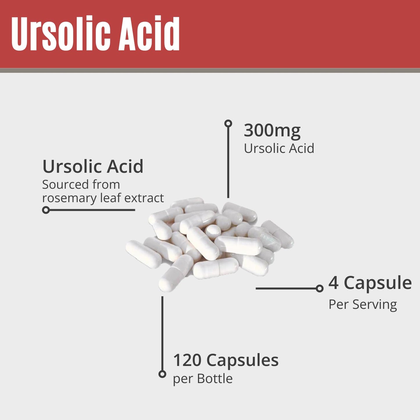 MAAC10 Ursolic Acid 300mg from Rosemary Extract Capsule, 1 Capsule
