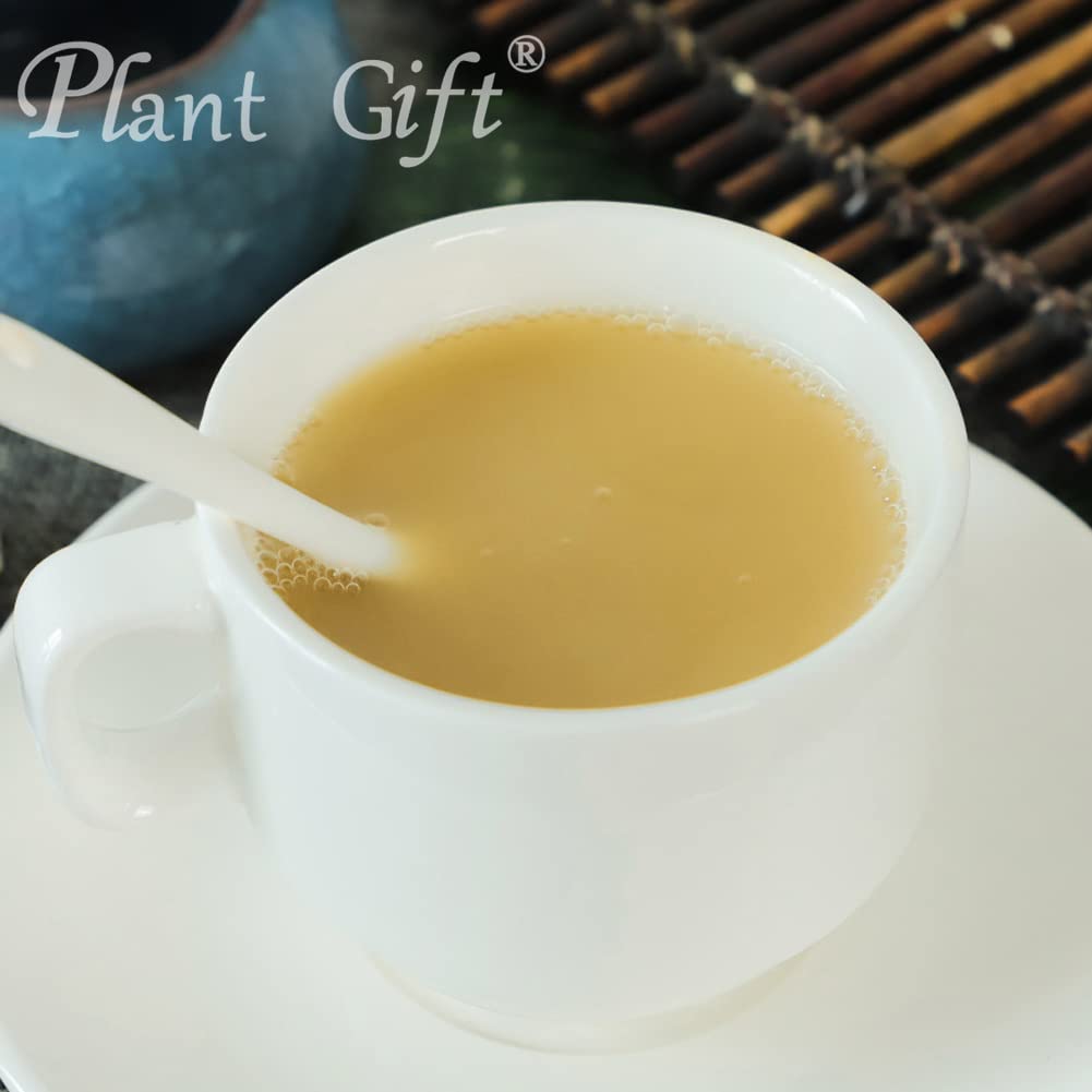 Plant Gift Hericium Erinaceus Powder 3.53 oz