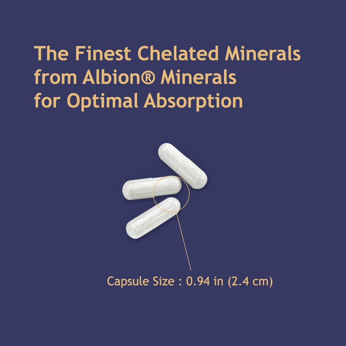 Philosophy Nutrition Essential Minerals Capsule 1 Count