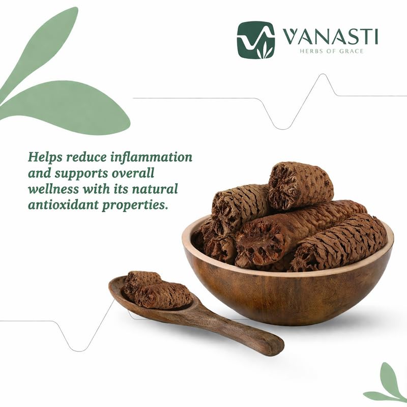 VANASTI Gaj Pipal Powder 3.52 Ounce