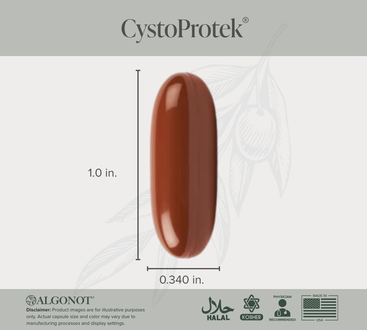 Algonot CystoProtek – Bladder Health – Exclusive Combination of Hyaluronate, Chondroitin and Natural Flavonoids Softgel 90