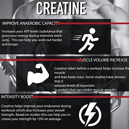 ALFA VITAMINS Maximum Creatine Monohydrate 1200 Mg Capsules, 100 Count