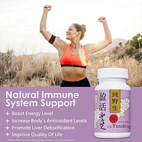 Vita Green Turkey Tail Mushroom - Yunzhi Immune Support Capsules, 10 Count