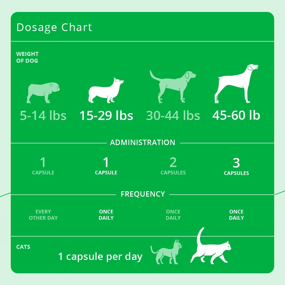 Eicosa3FF SnipCaps Omega 3 Free Fatty Acid Capsules for Dogs and Cats, 60 Count