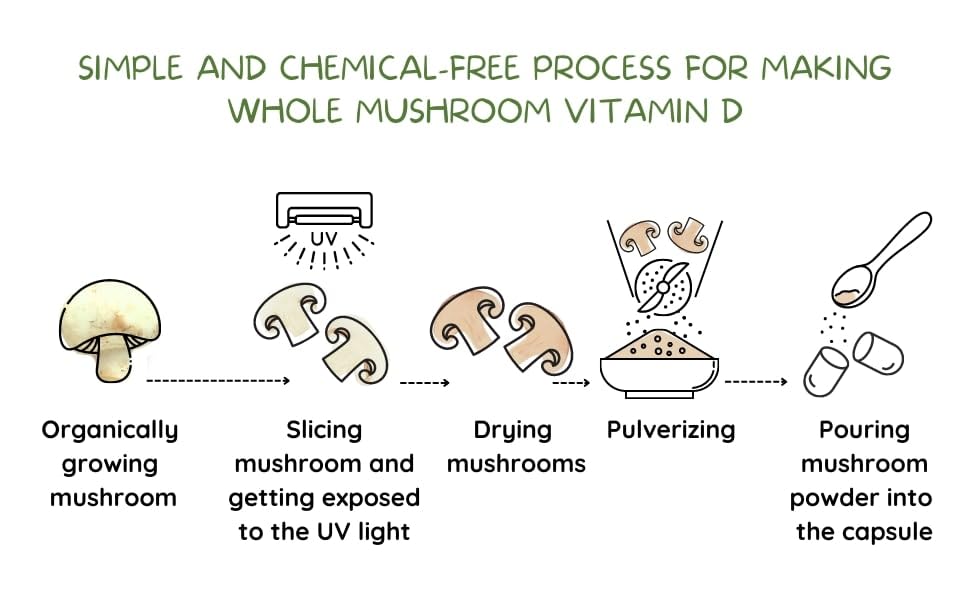EAT INTACT USDA Organic Vegan Whole Food Vitamin D (D2), 2000 IU (50 mcg) Capsules, 60 Count