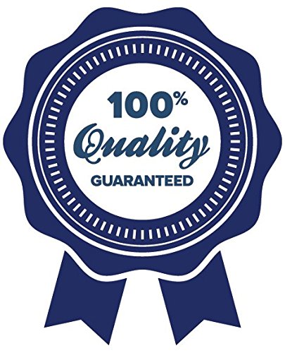 Sport Supplements Best Creatine Powder 1 Bottle