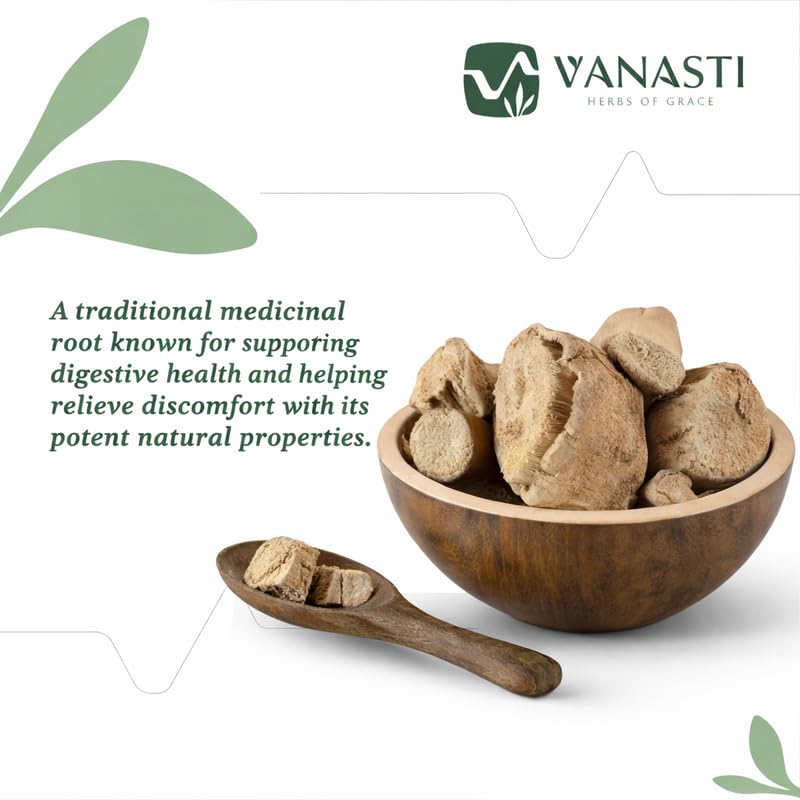 VANASTI Indrayan Jadd Citrullus Colocynthis Powder 3.52 oz