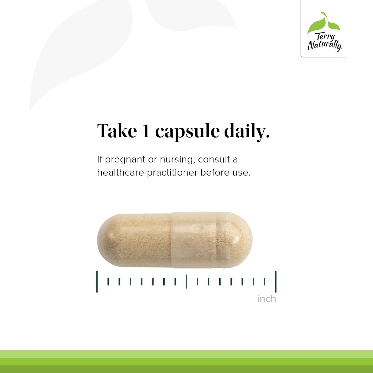 Terry Naturally Olive Extract EP20 Brain Health Support with Olive Leaf Extract, Herbal Immune Support, 60 Capsules