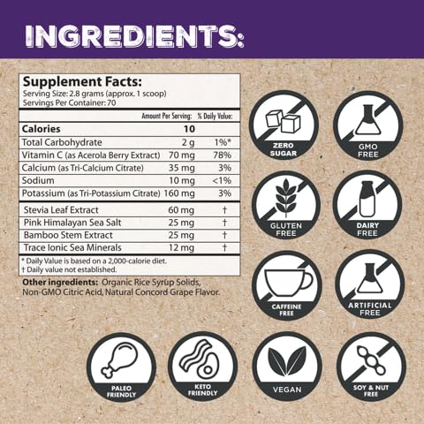 Superieur Sea Mineral Electrolyte Powder (6.9) Concord Grape, 70 Servings