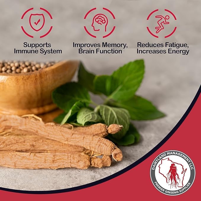 Dairyland Management LLC Korean Red Panax Ginseng Capsules 150 Count