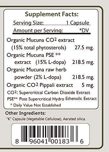 Tattva's Herbs Organic Mucuna Pruriens – Natural L-Dopa, Dopamine Support, Vegan & Gluten-Free, 240 Capsules (2-Pack)