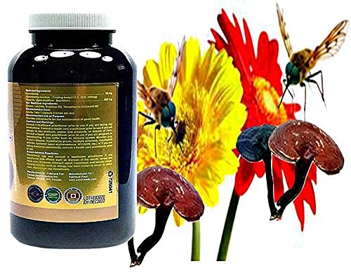Cand-Gold Wild Bee Propolis Reishi Softgel 365