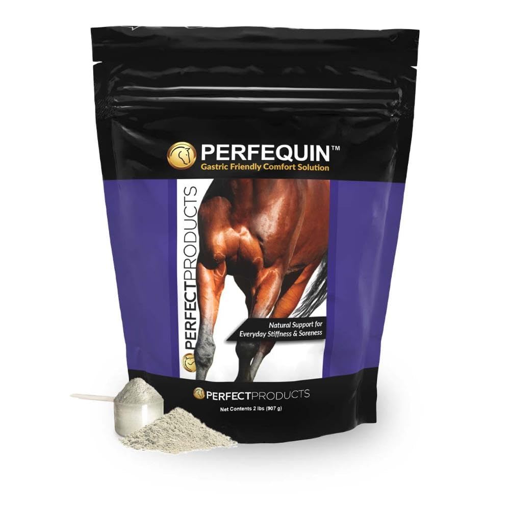 Perfect Products EQ Perfect Prep Perfequin Powder 1