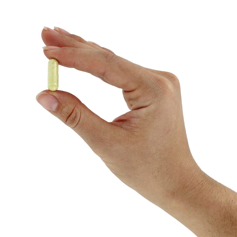 NOW Foods Rutin 450 mg Capsule 1 Count