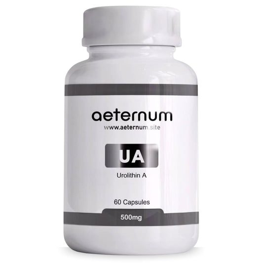 aeternum Urolithin A Supplement 500mg UA Capsule, 60 Capsules