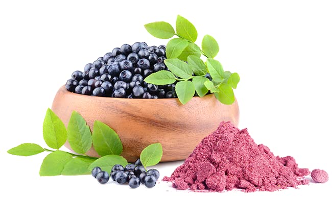 Jovvily Bilberry Extract Powder 8 oz