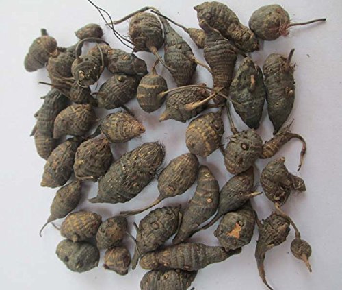 Neotea Korai Kizhangu Powder (Cyperus Rotundus) 1kg
