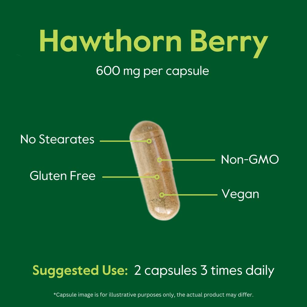 BESTVITE Hawthorn Berry 600mg Capsules, 240 Count