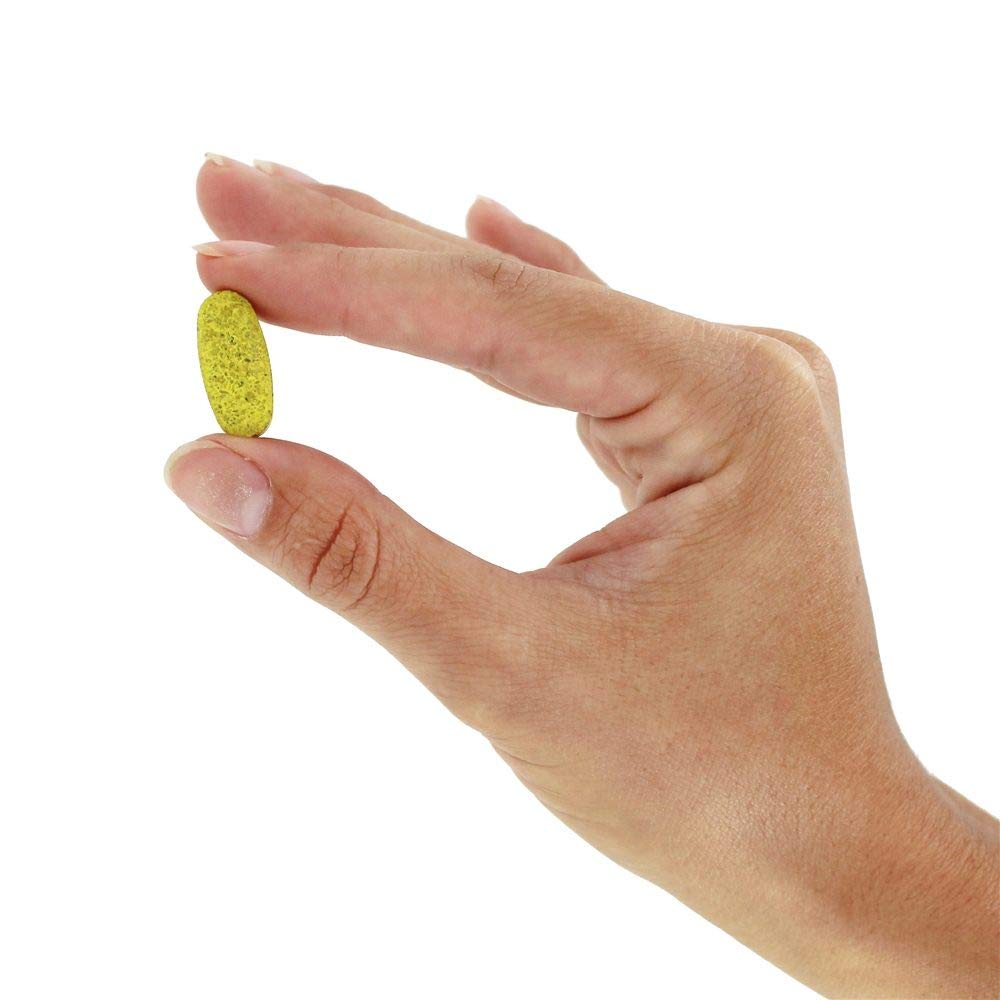 Planetary Herbals Stone Free 820 Milligrams Tablet 180 Tablets