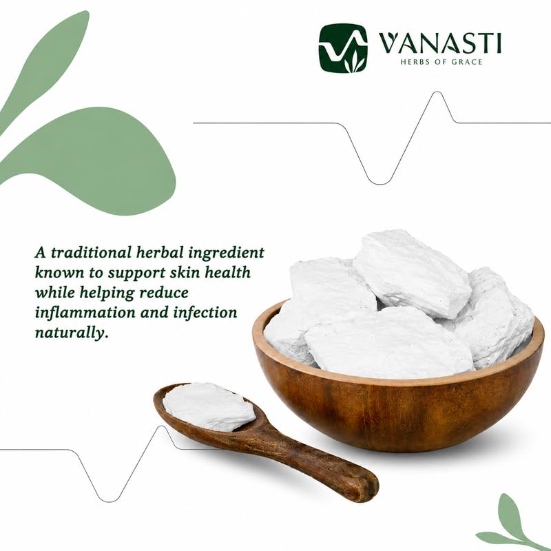 VANASTI Selkhadi Pathar Powder 3.52 Ounce