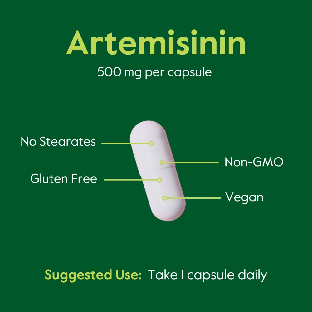 BESTVITE Artemisinin 500mg Capsule, 60 Count