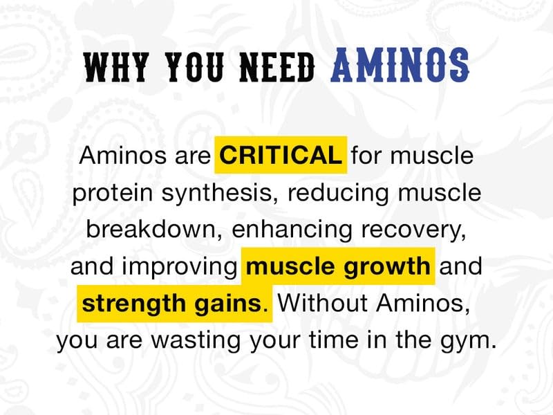 Strength Cartel Big Boy Amino Powder 11.464 Ounces