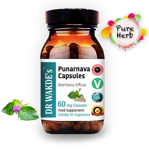 DR WAKDE'S Punarnava Capsules, 1 Count