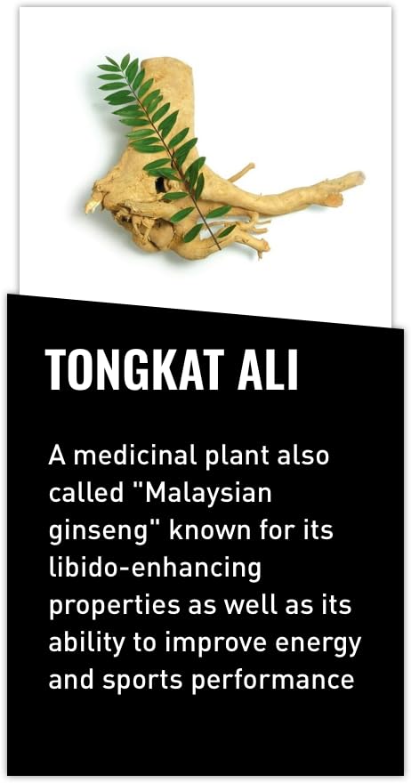 Mdrive Tongkat Ali 100mg Root Extract LJ100 Longjack Clinically Proven Eurycoma Longifolia Supplement for Men's Health Capsule, 30 Count