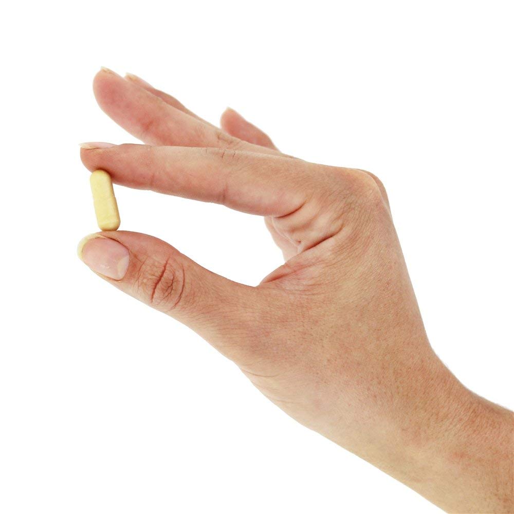 Solaray Nattokinase Serrapeptase Capsule, 1 Count