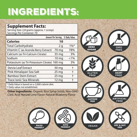 Superieur Sea Mineral Electrolyte Lime Blueberry Powder 6.9