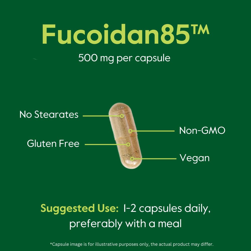BESTVITE Fucoidan Extract 500mg (Standardized to 85% Fucoidan) Capsule, 120 Count