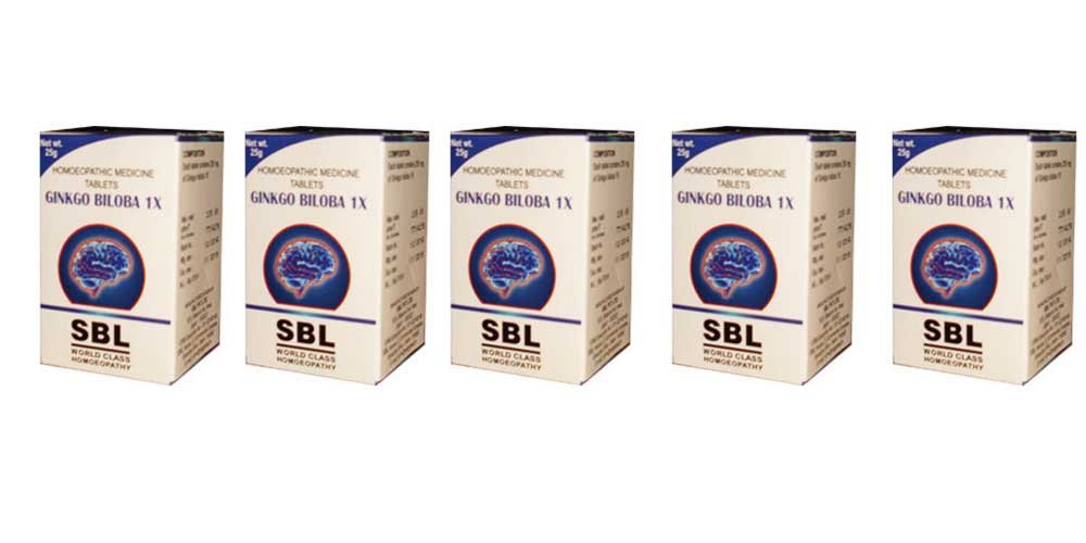 Xllent Ginkgo Biloba Tablets 1 Count