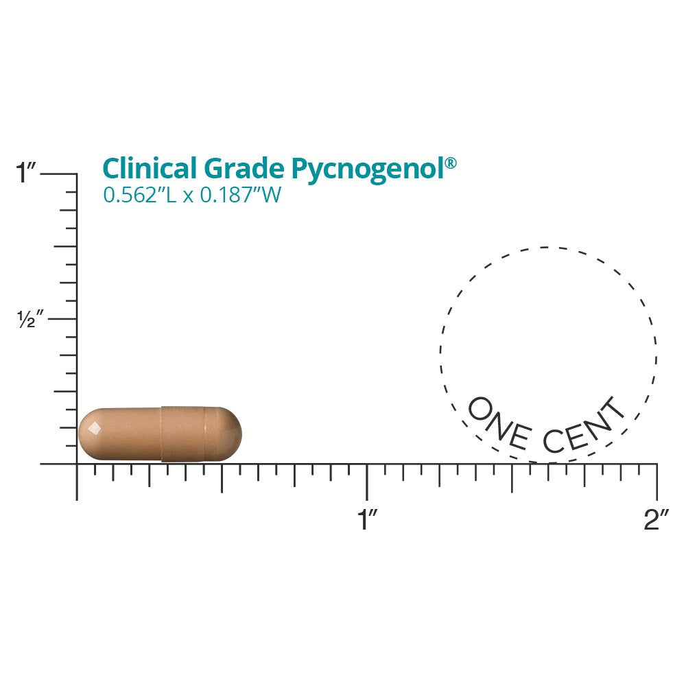 DR.WHITAKER Clinical Grade Pycnogenol 50mg Capsule, 60 Count