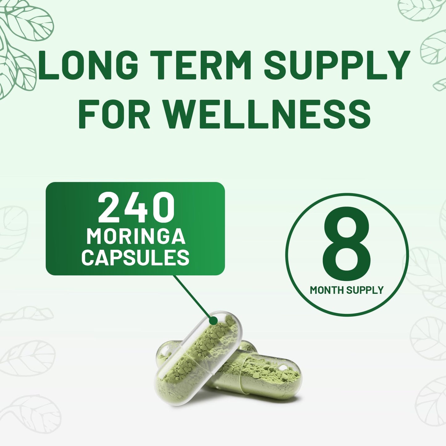 vivcmin Moringa Capsules 240 Capsules