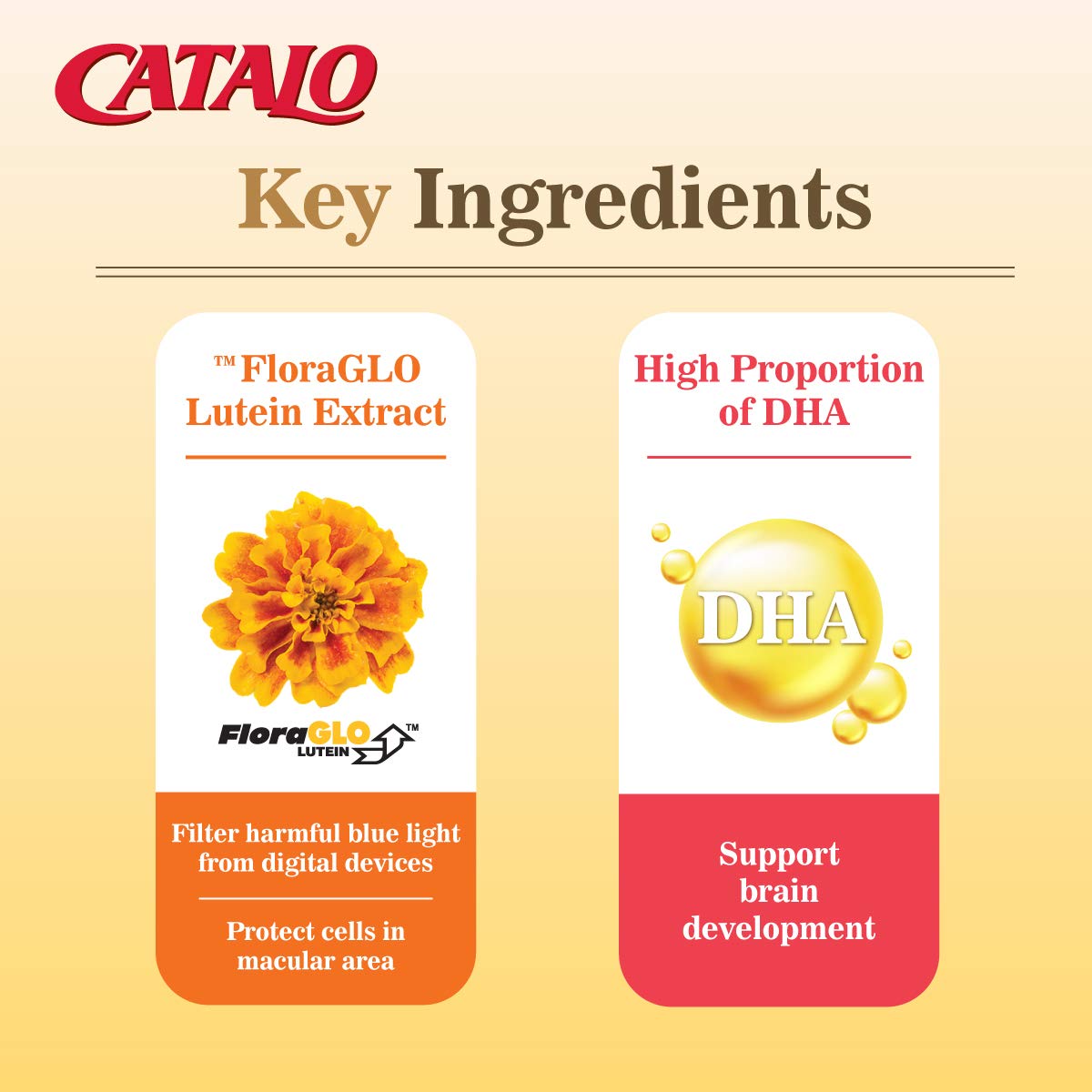 CATALO Children's DHA IQ Formula with Lutein Chewable 50 Count