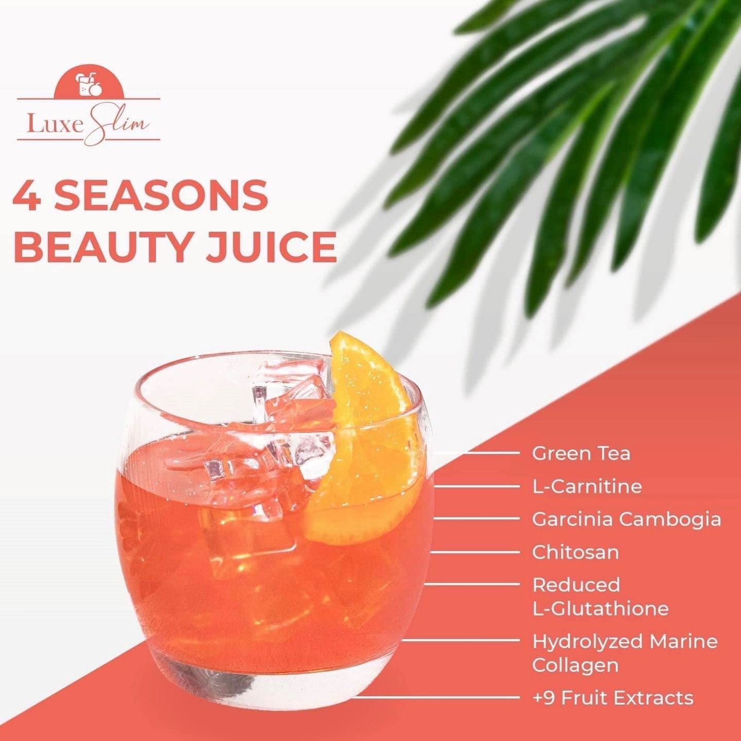 Luxe Slim 4 Seasons Beauty Juice Powder, 10 Count