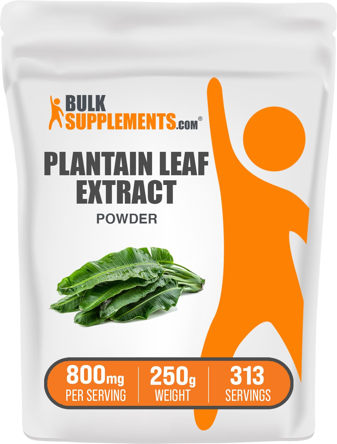 BulkSupplements Plantain Leaf Extract Powder 8.82 oz