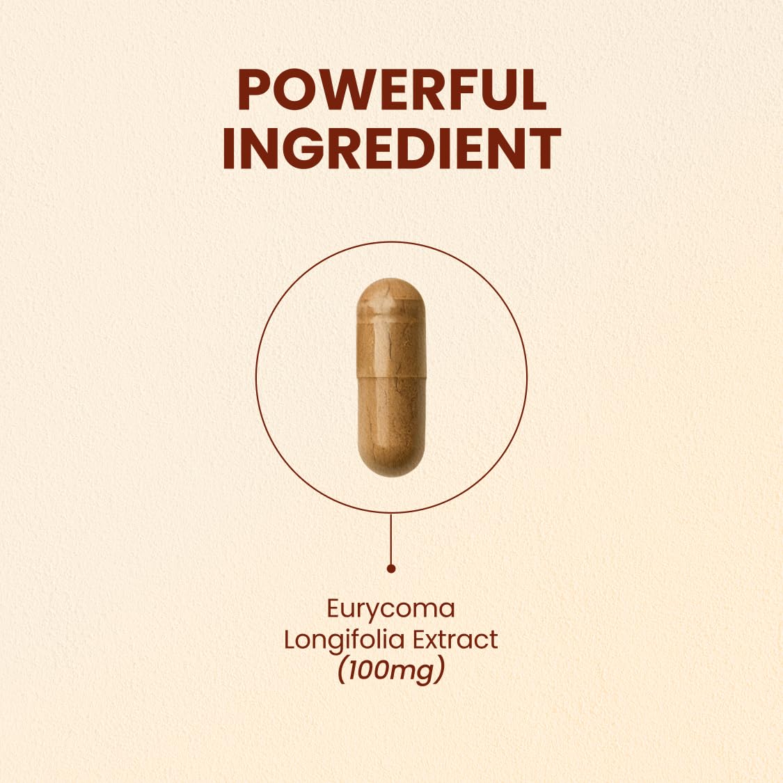CHOQ Tongkat Ali Extract 100mg LJ100 Longjack Clinically Proven Capsule, 30 Capsules