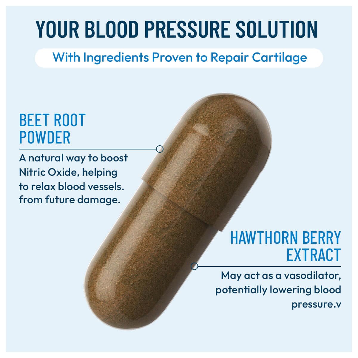 Vazopril Blood Pressure Support Vitamin Supplement for Healthy Heart & Blood Circulation Capsule 180 Count
