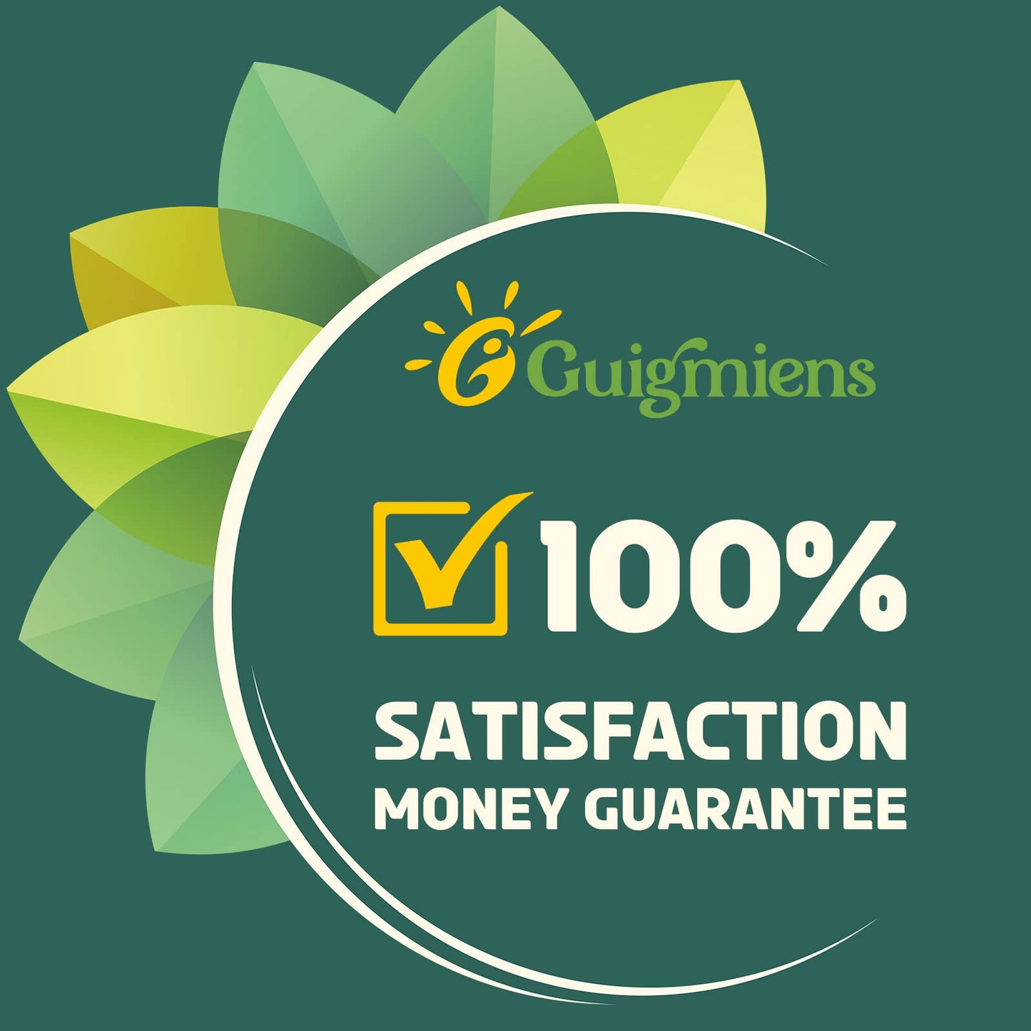 Guigmiens Liposomal Glutathione 2000 mg Softgel, 60 Count