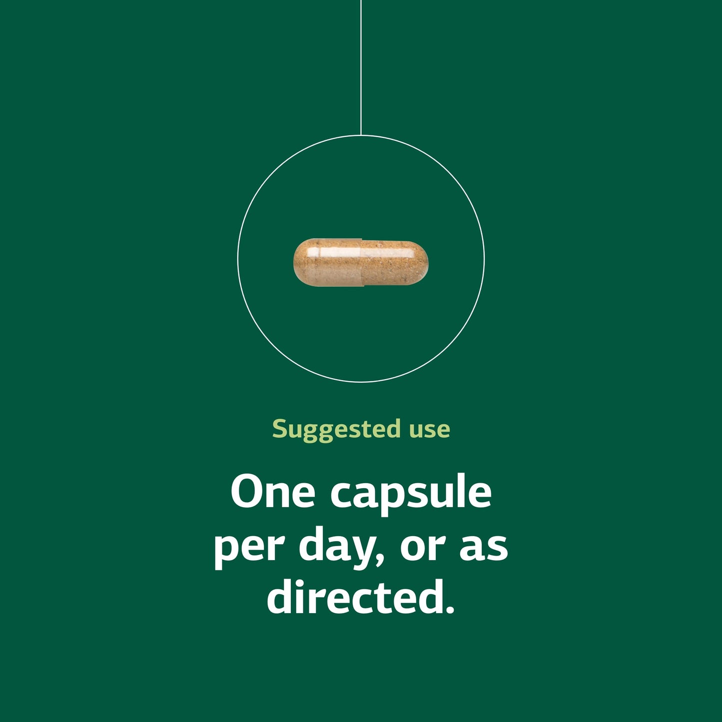 Standard Process Inc. Niacinamide B6 Capsules 90