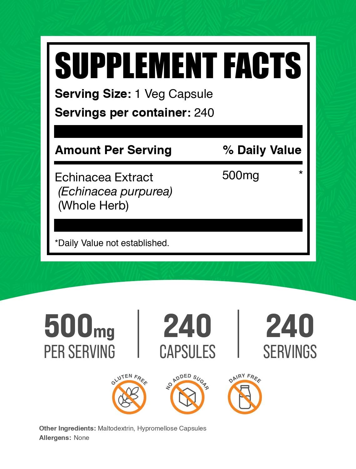 BulkSupplements Echinacea Extract Capsules 240 Count
