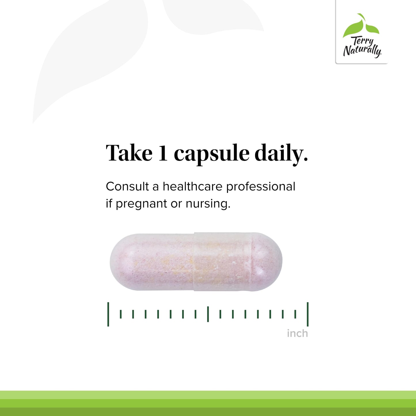 Terry Naturally BioActive Vitamin B Capsules 120