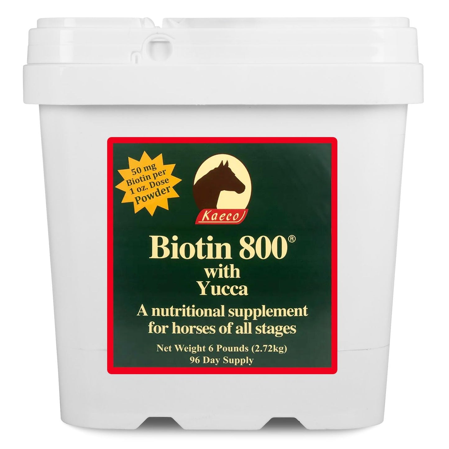 KAECO GROUP INC Biotin 800 Powder, 1 Count