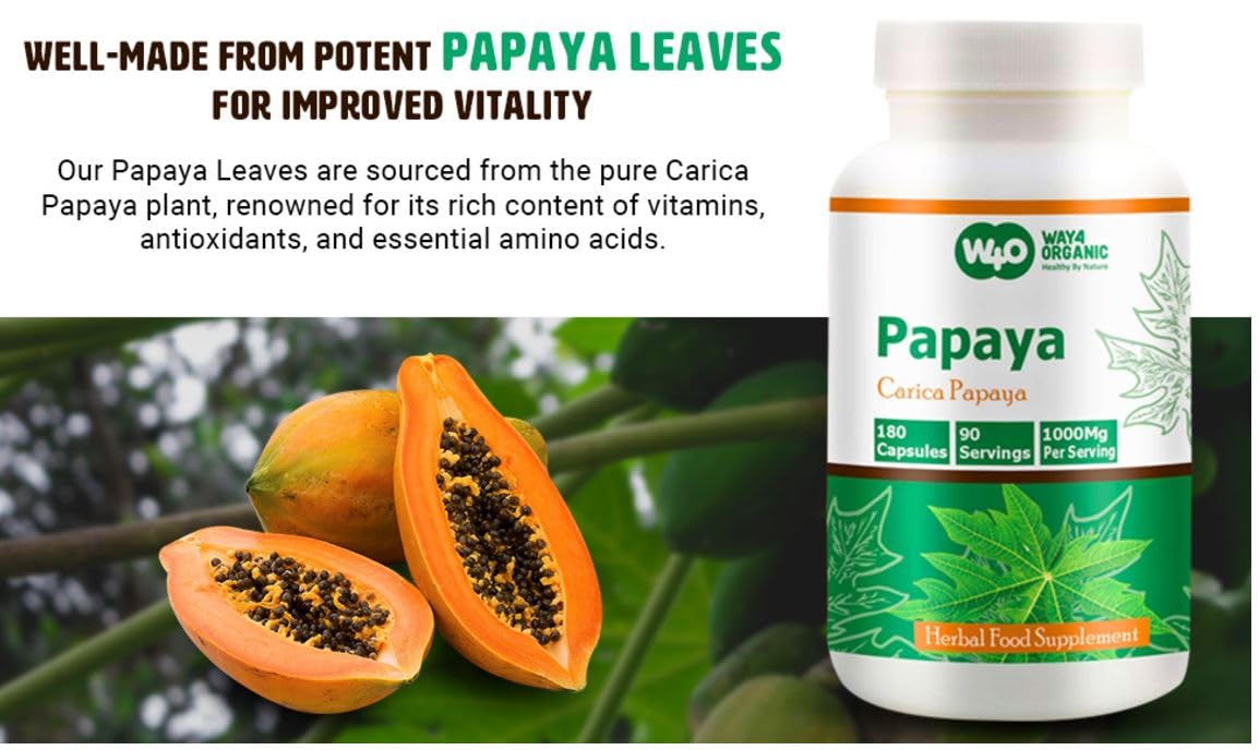 WAY 4 ORGANIC W4O Papaya Leaf Extract Capsules, 1 Count