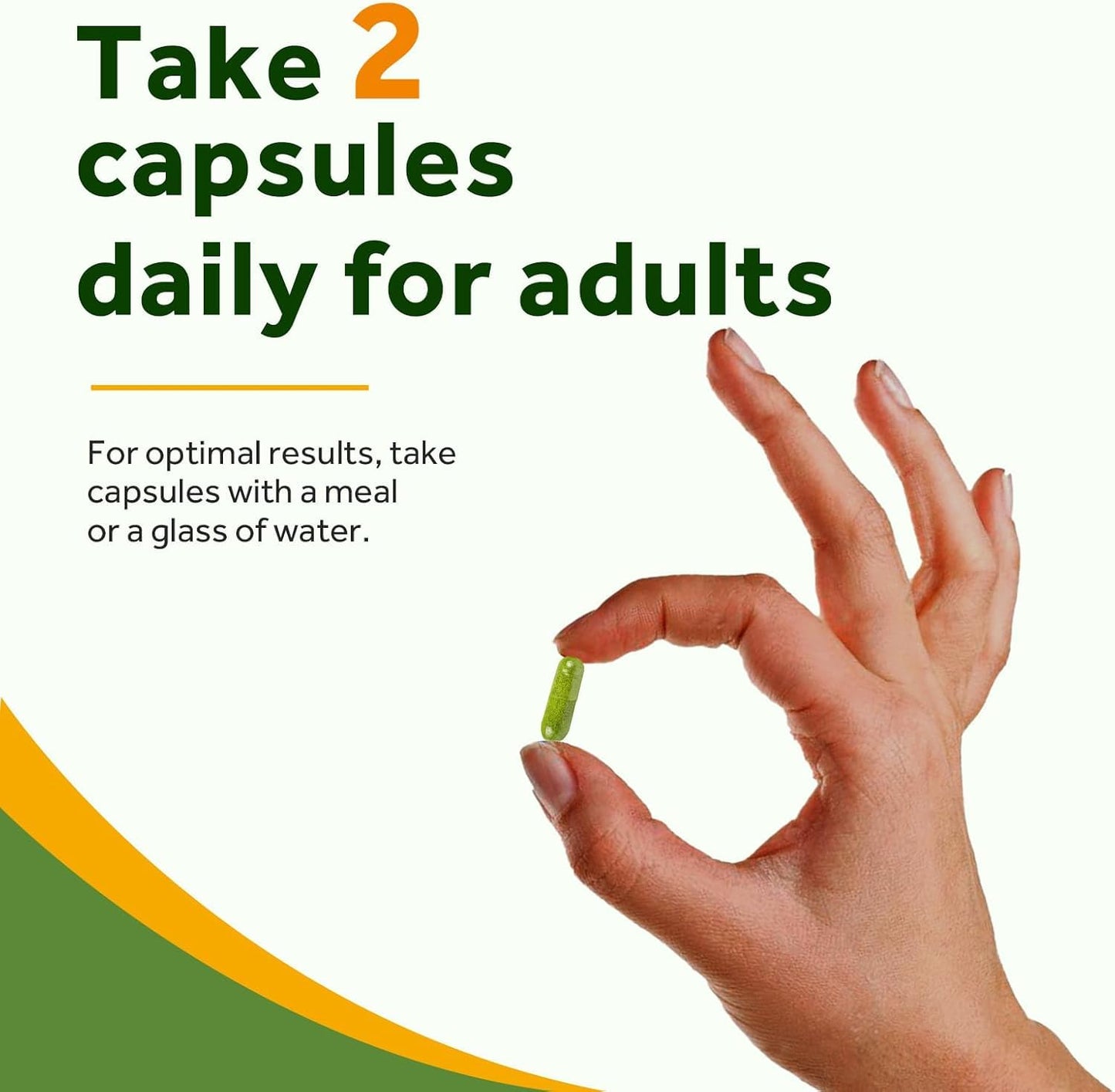 RTMGOB Moringa Capsules 60 Capsules