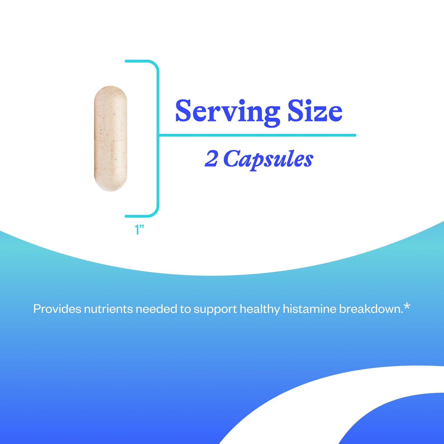 Seeking Health Histamine Nutrients Capsule 60