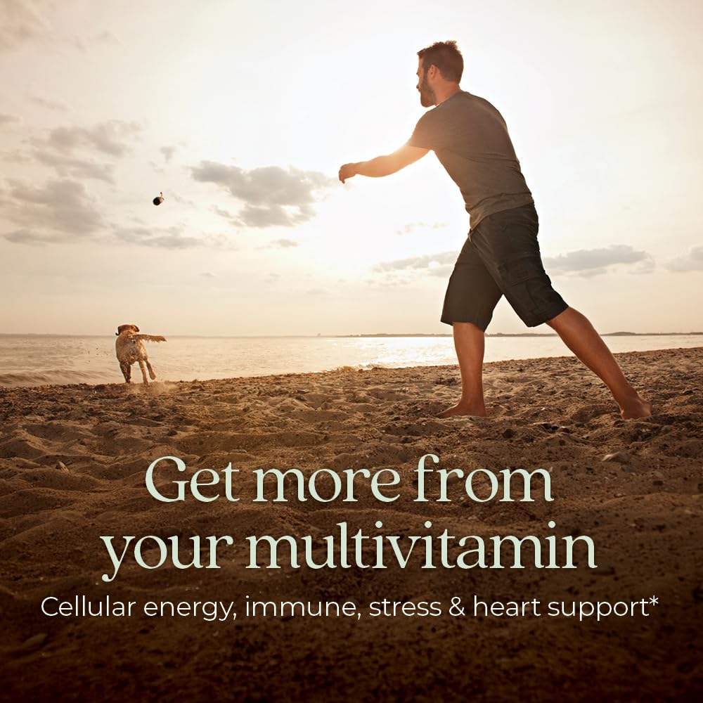 New Chapter Every Man's One Daily Multivitamin Caplets 48 Count