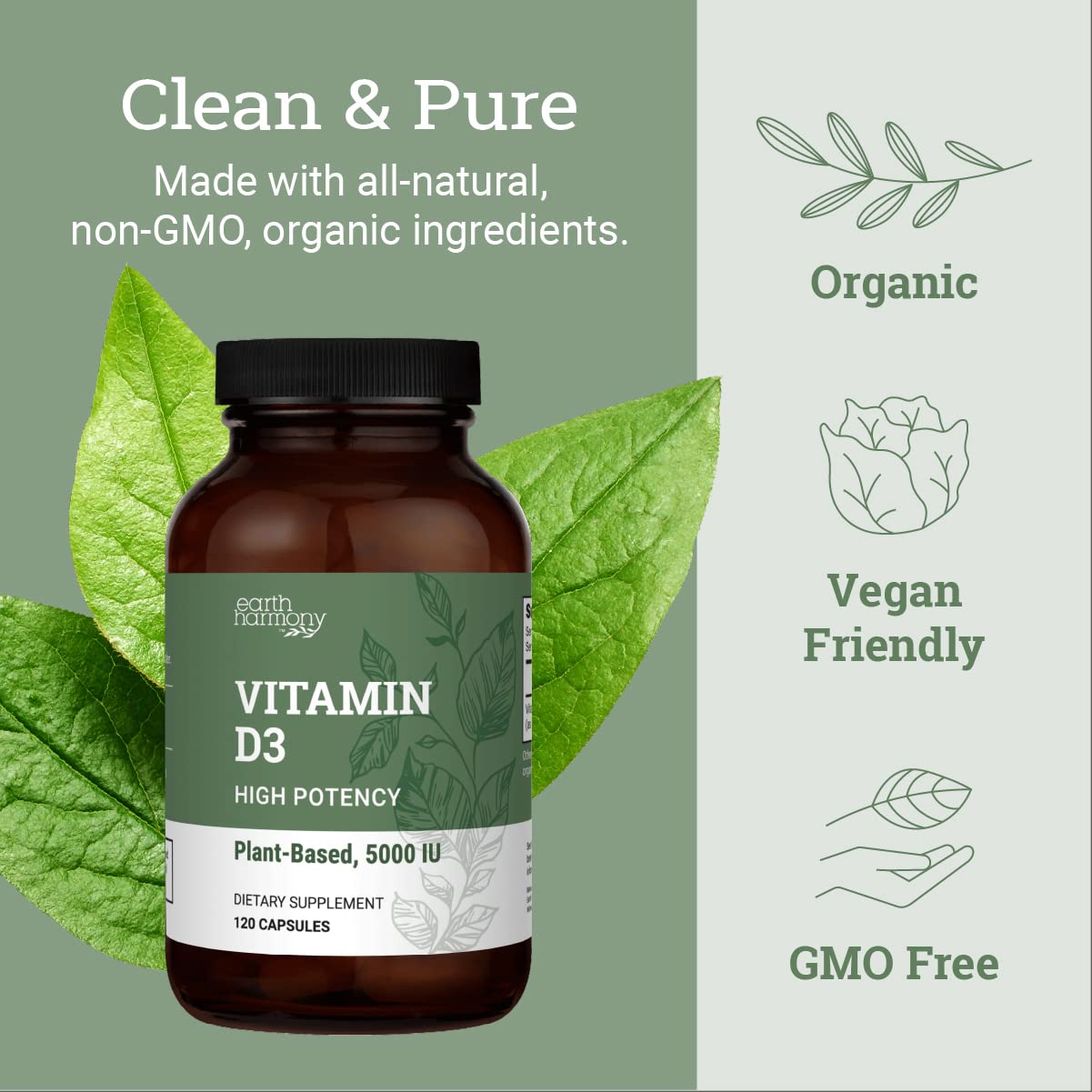 Earth Harmony Naturals Vegan Vitamin D3 5000 IU Supplement Capsule, 120 Count