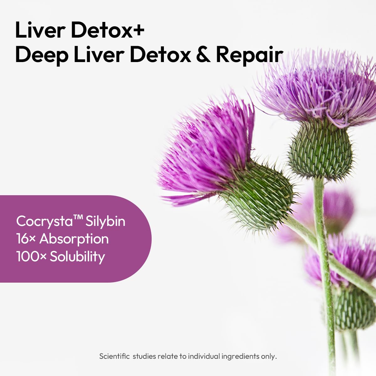 BIGVITA CoCrystal Liver Detox+ 60 Capsules